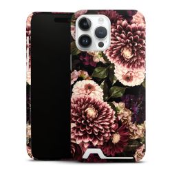 Premium Card Case glossy