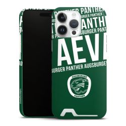 Premium Card Case glossy