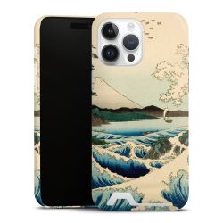 Premium Card Case glossy