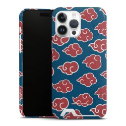 Premium Card Case glossy