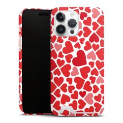 Premium Card Case glossy