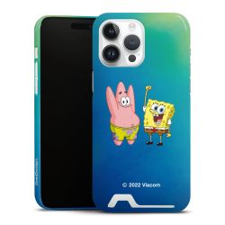 Premium Card Case glossy