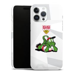 Premium Card Case glossy