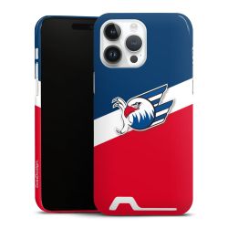 Premium Card Case glossy