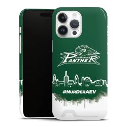 Premium Card Case glossy