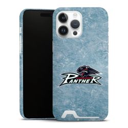 Premium Card Case glossy