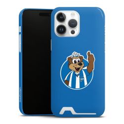 Premium Card Case glossy