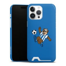 Premium Card Case glossy