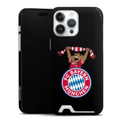 Premium Card Case glossy