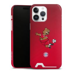 Premium Card Case glossy