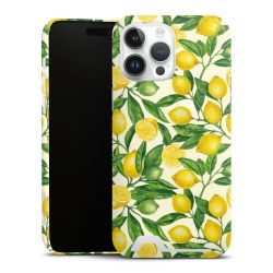 Premium Card Case glossy