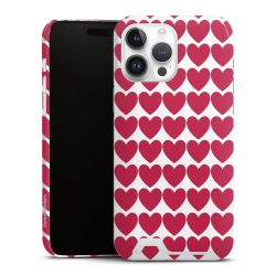 Premium Card Case glossy