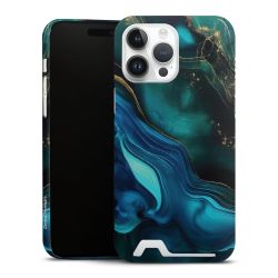 Premium Card Case glossy