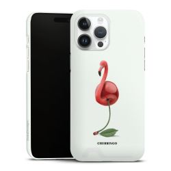 Premium Card Case glossy