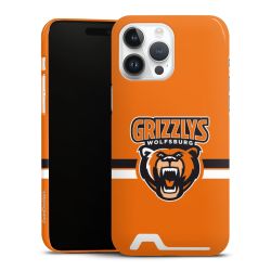 Premium Card Case glossy