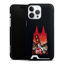 Premium Card Case glossy