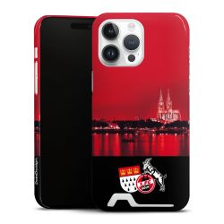 Premium Card Case glossy