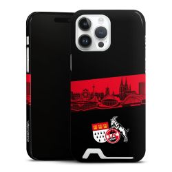 Premium Card Case glossy