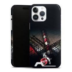 Premium Card Case glossy