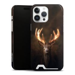 Premium Card Case glossy