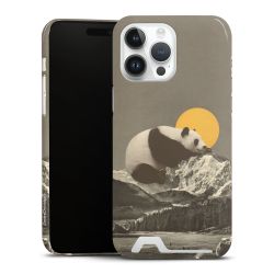 Premium Card Case glossy