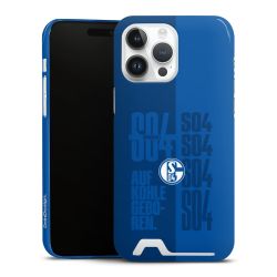 Premium Card Case glossy