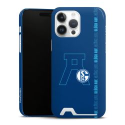 Premium Card Case glossy