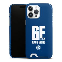 Premium Card Case glossy