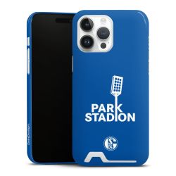 Premium Card Case glossy