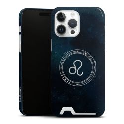 Premium Card Case glossy