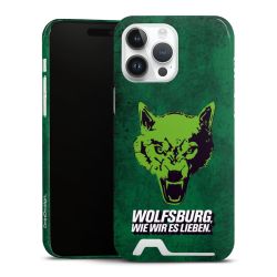 Premium Card Case glossy