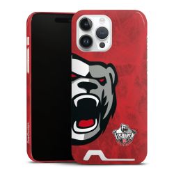 Premium Card Case glossy