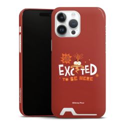 Premium Card Case glossy