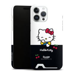 Premium Card Case glossy