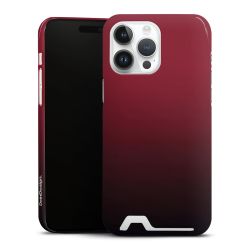 Premium Card Case glossy