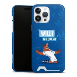 Premium Card Case glossy