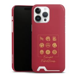 Premium Card Case glossy