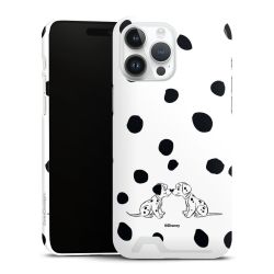 Premium Card Case glossy