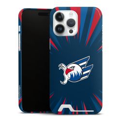 Premium Card Case glossy