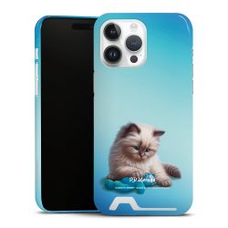 Premium Card Case glossy