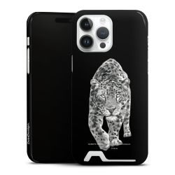 Premium Card Case glossy