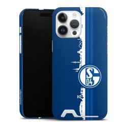 Premium Card Case glossy