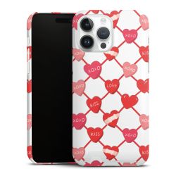 Premium Card Case glossy