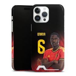 Premium Card Case glossy