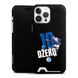 Premium Card Case glossy
