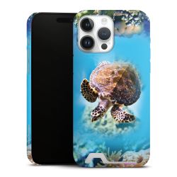 Premium Card Case matt