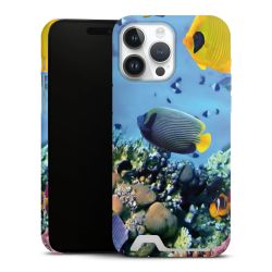 Premium Card Case matt