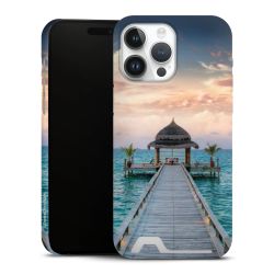 Premium Card Case matt