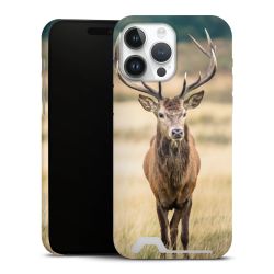 Premium Card Case matt