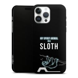 Premium Card Case matt